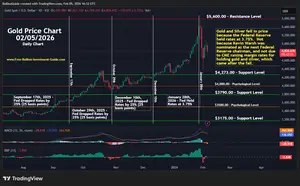 Newsletter Gold Chart (Daily) - Federal Reserve Actions caused Gold's Fall in Price Jan/Feb 2026