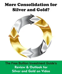 June 22nd 2020 - vBlog - More Consolidation for Silver and Gold? - Title Graphic