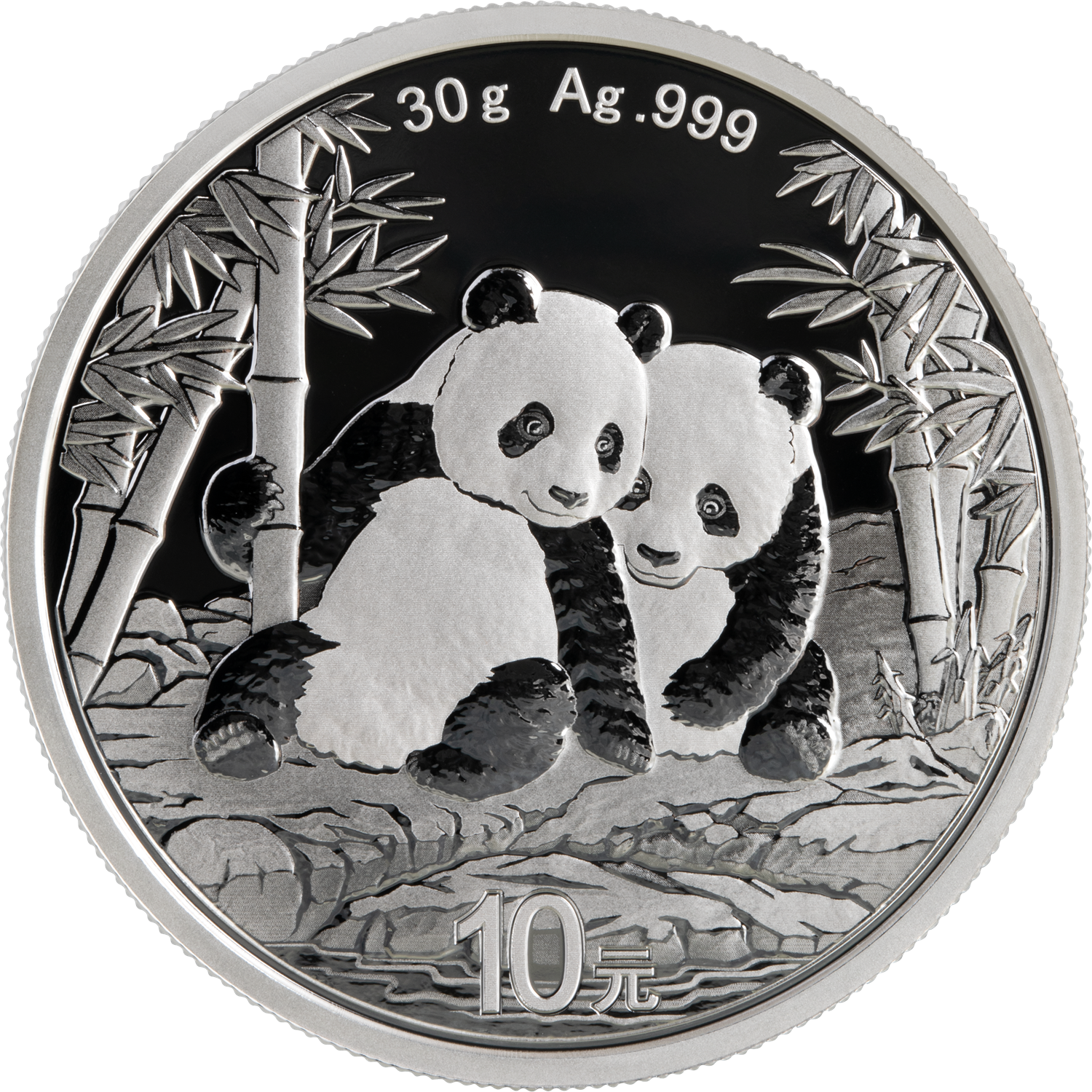 2026 30gram Chinese Silver Panda Bullion Coin - Reverse Side