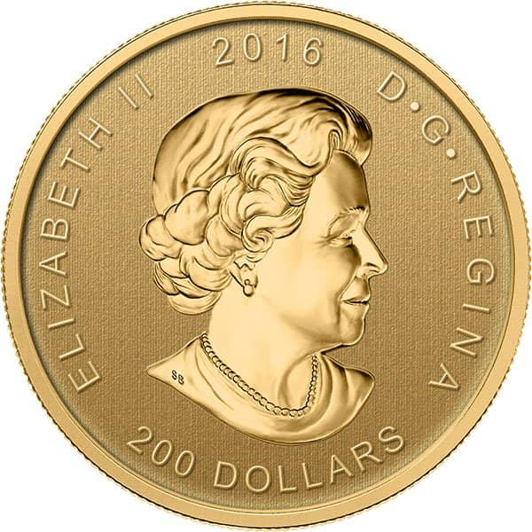 99999 gold coin