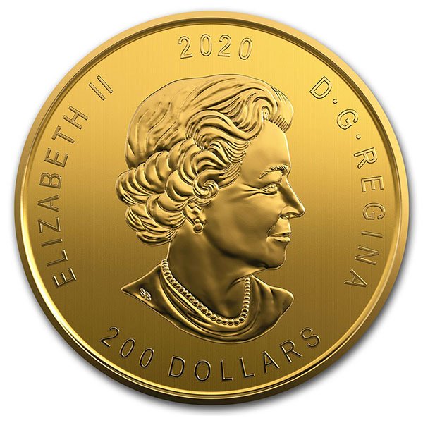 99999 gold coin