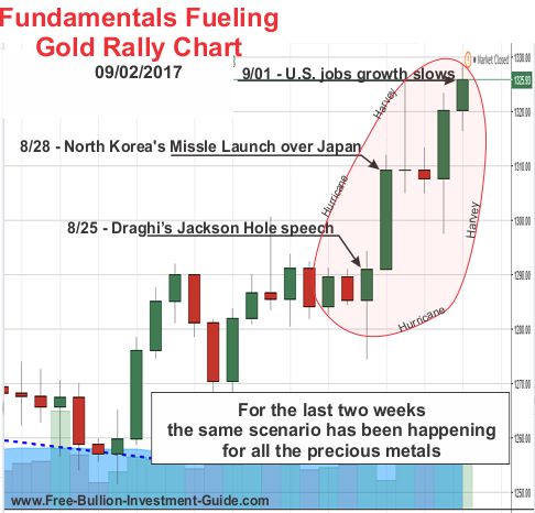 Fundamentals Fueling Gold's Rally - price chart