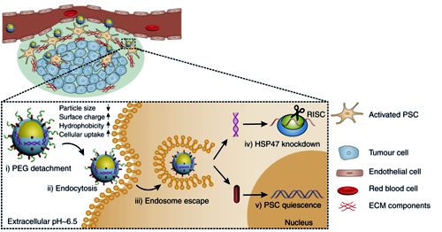 nanosystem