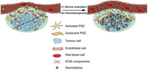 nanosystem