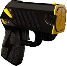 The Home Security Superstore - TASER® Stun Gun