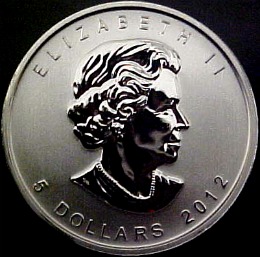 silver moose