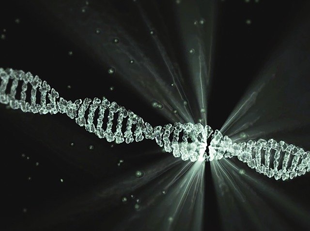 dna splicing