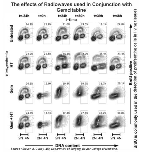 radio wave and gemcitabine