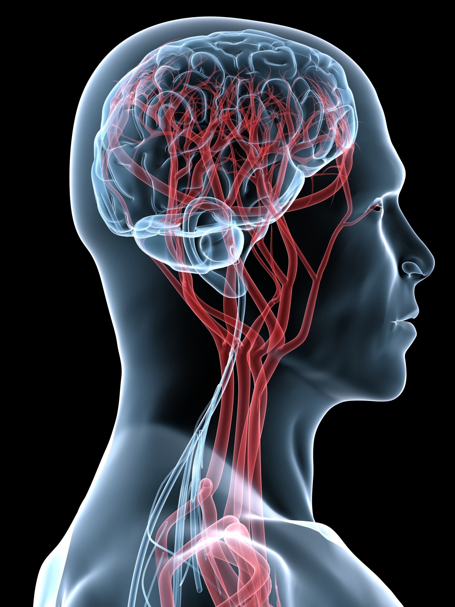 Blood-flow to Brain