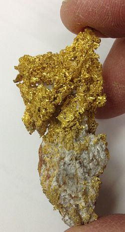 gold nugget