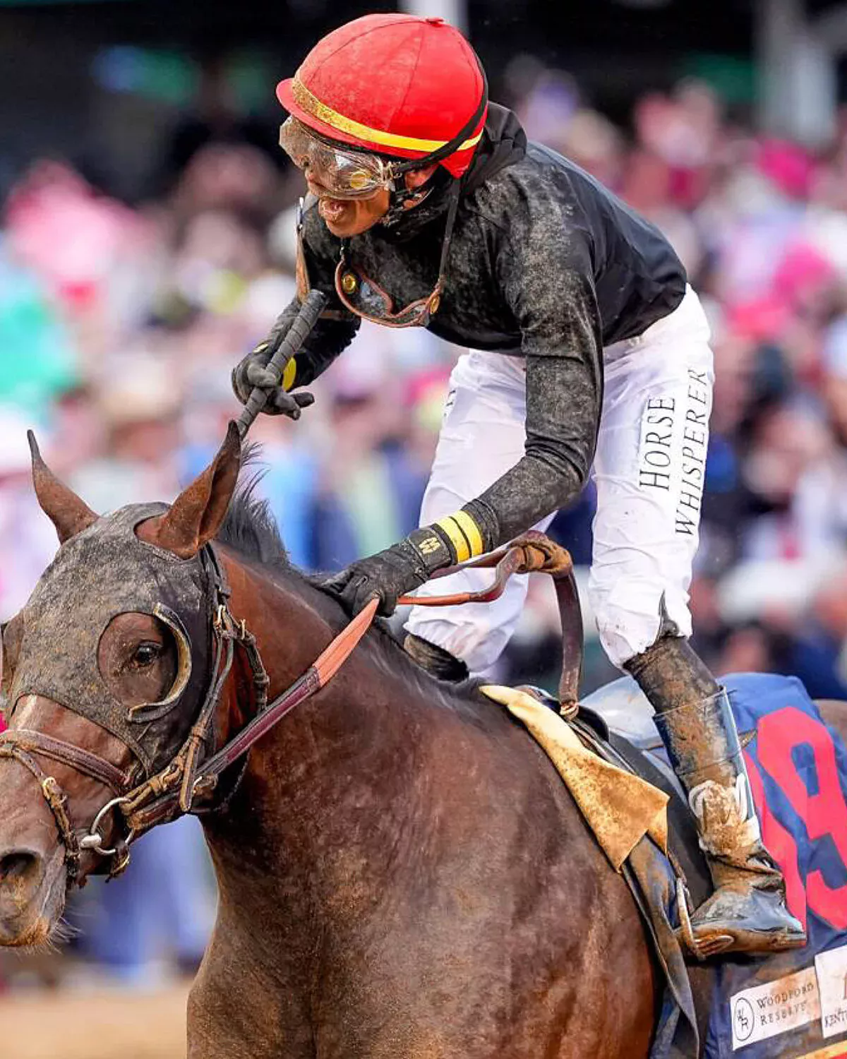 The Horse That Ran Last to First