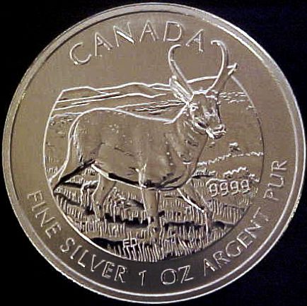 silver antelope