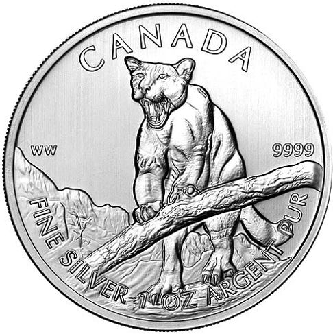 silver cougar