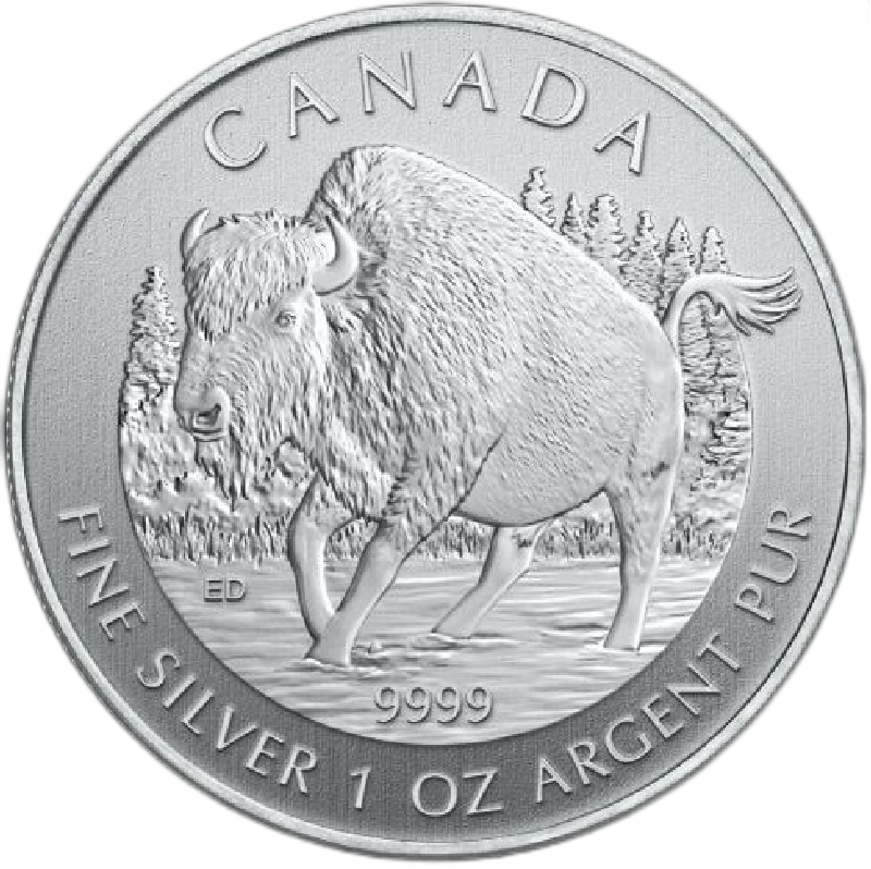 2013 - 1oz. Canadian Bison bullion Coin - Reverse Side