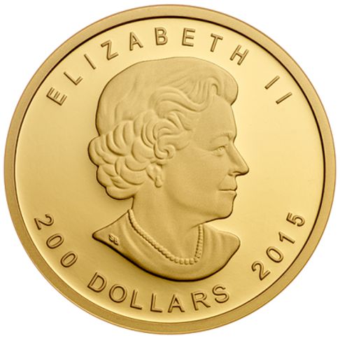 99999 gold coin