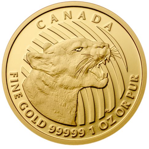 99999 gold coin