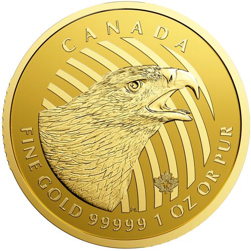 99999 gold coin