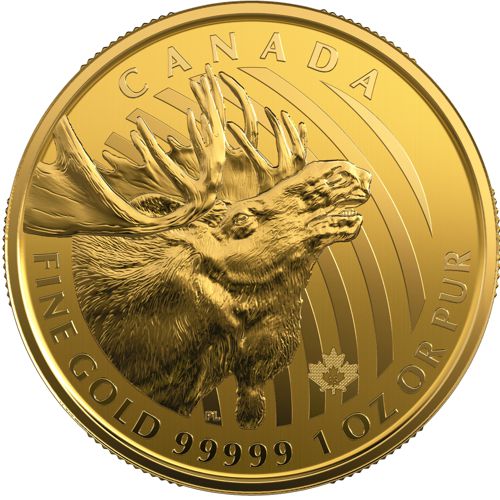 99999 gold coin
