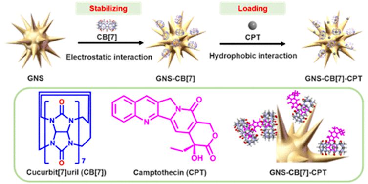 Supramolecular Nanoplatform for Combination Treatment of Cancer