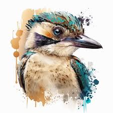 Blue-Winged Kookaburra