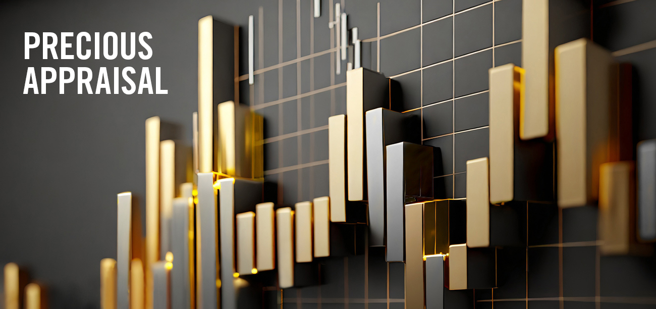 Heraeus Appraisal Report