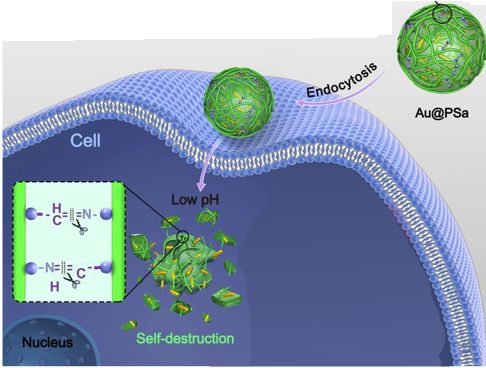 Polysaccharide - Gold Nanoparticle 2018 - Cancer Killers