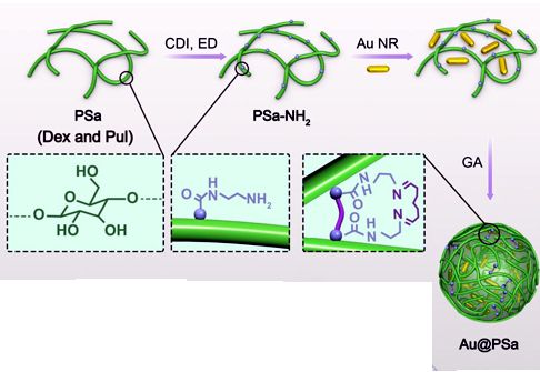 Polysaccharide - Gold Nanoparticle Generation