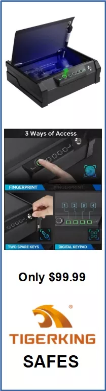 Tiger King - TIGERKING Flip Up Small Safe With Biometric Lock 