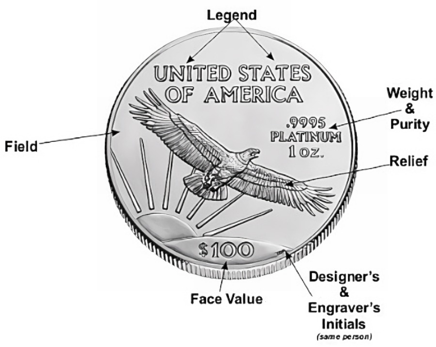 coin anatomy rev