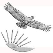 bullion coin relief designs