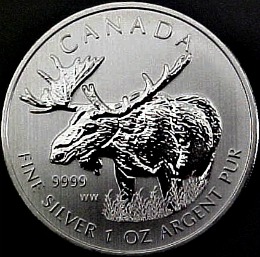 silver moose