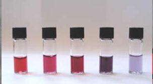 colloidal gold nanoparticles