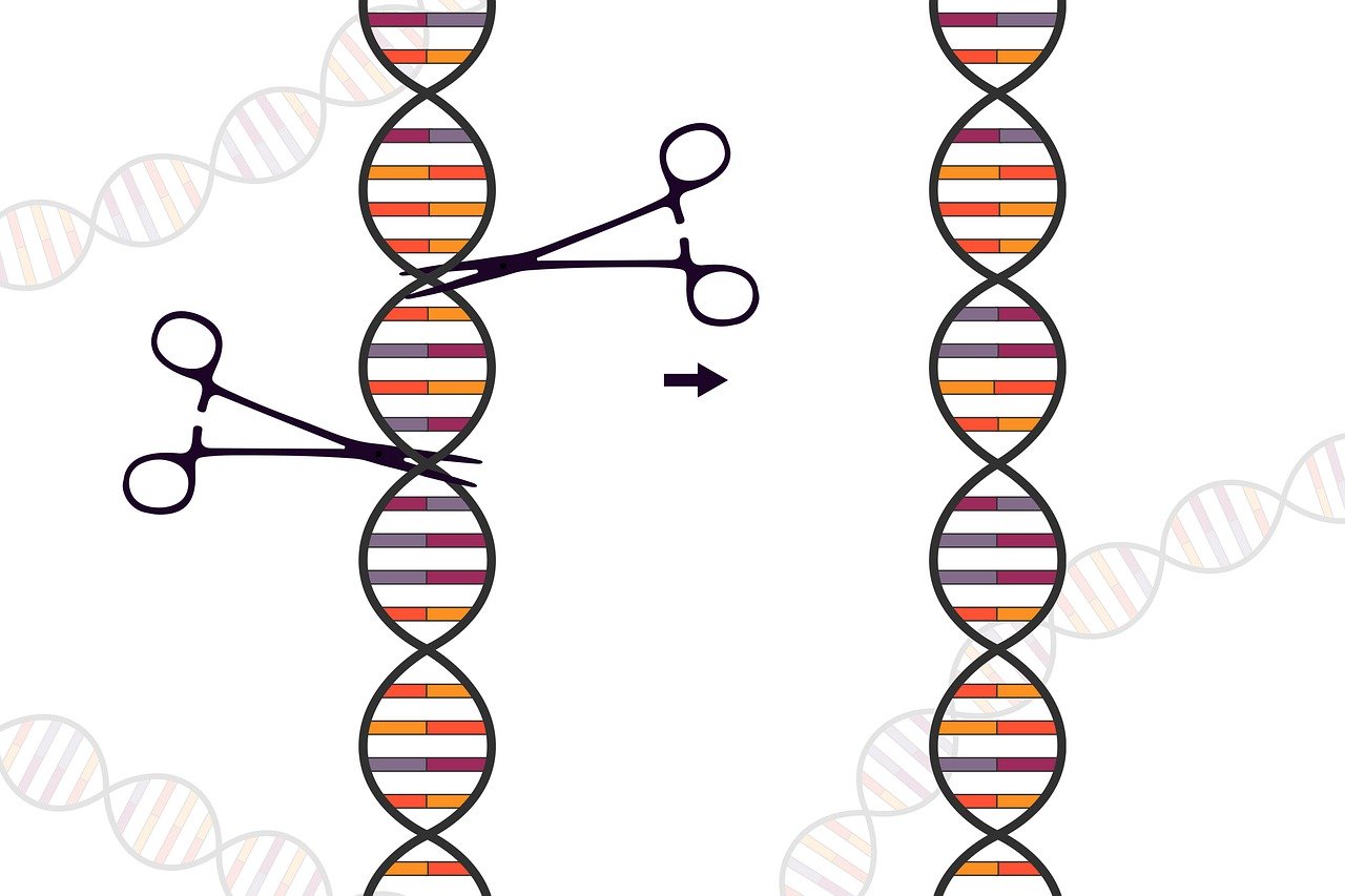 CRISPR - DNA Editing - Graphic