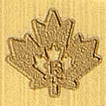 Canadian Gold Maple Leaf  SECURITY FEATURE