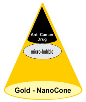 Gold Nano Cone Warhead